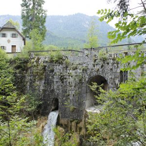 Abenteuer Wald